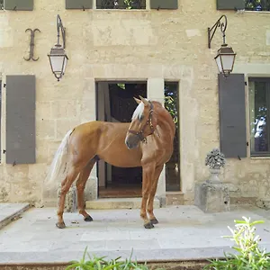 Domaine Cap Rubis Bed & Breakfast Paradou