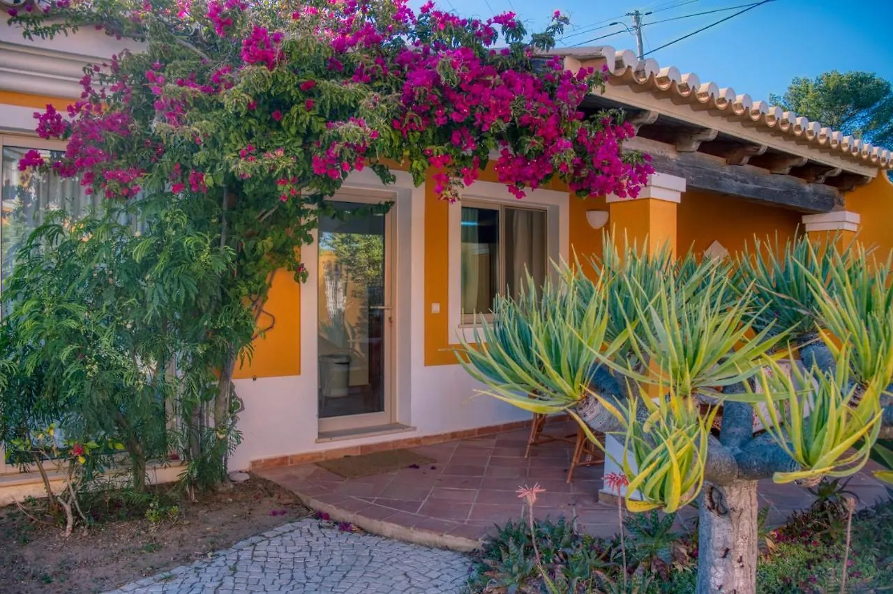 Moonshine Guest House With Private Studios And Private Cottage Lagos